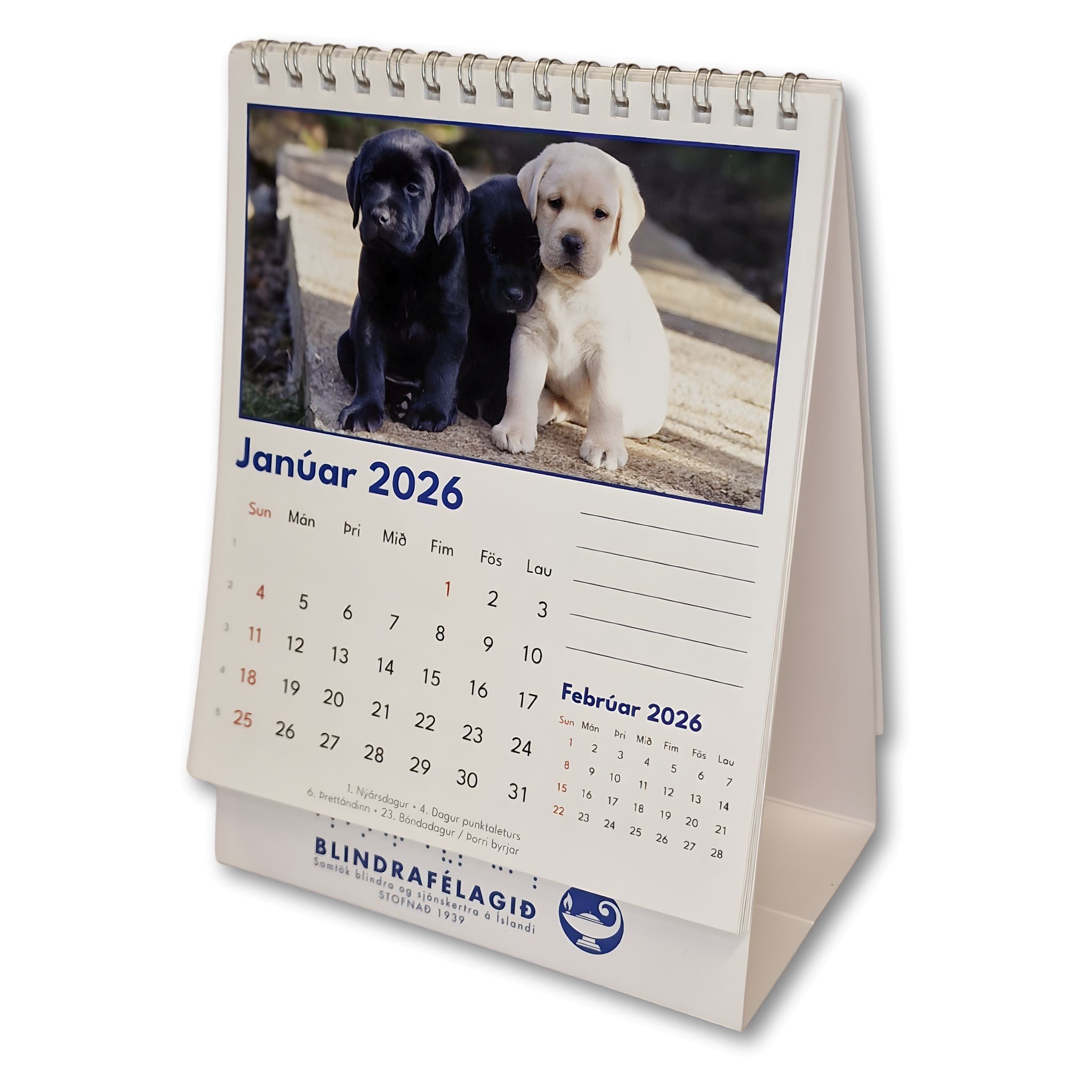 Leiðsöguhundadagatal 2026 með mynd af þremur hvolpum tveimur dökkum og einum ljósum