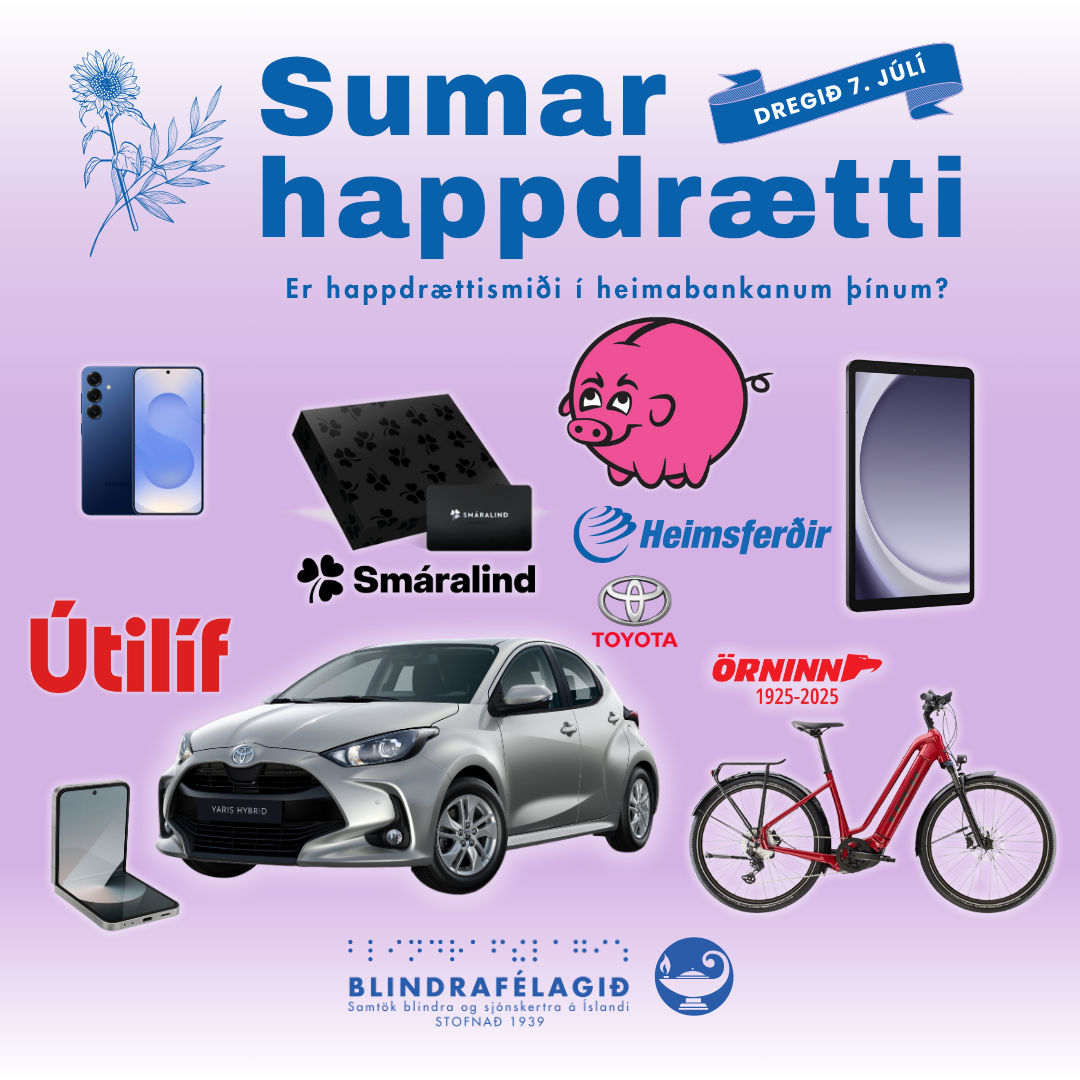 Mynd sem sýnir alla vinningar í sumarhappdrætti Blindrafélagsins 2025.