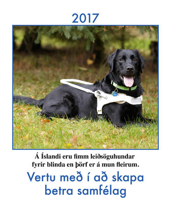 forsidadagatals Mynd af forsíðu dagatalsins. Við sjáum Oliver í vinnufötunum.