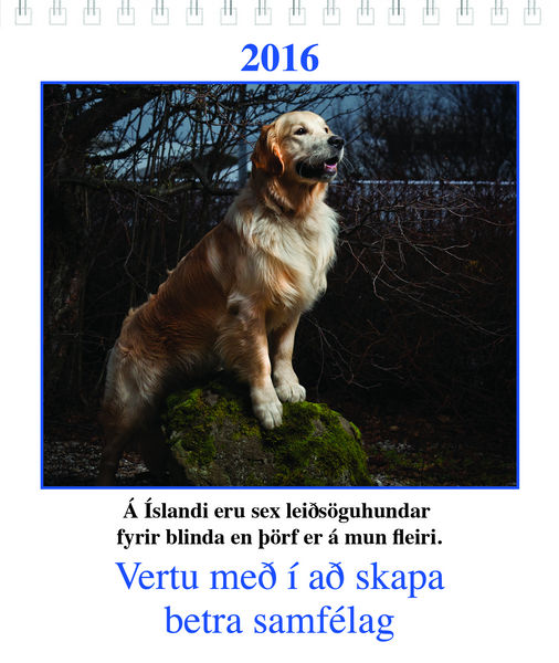 Forsida2
