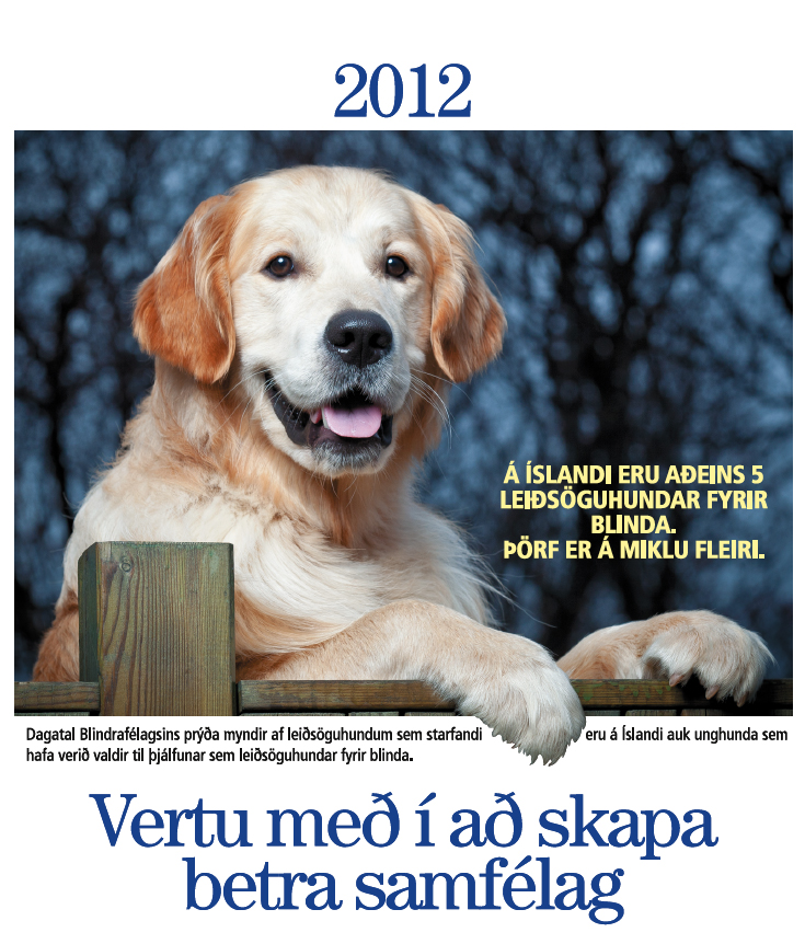 KapaDgtal Mynd af Sebastina, forsiða leiðsöguhundadagatals 2012